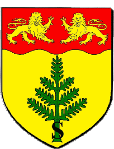 Banderas Francia Departamentos - Ciudades 50 SAVIGNY LE VIEUX 