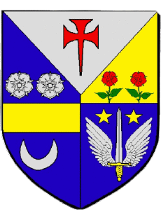 Drapeaux France Départements - Villes 77 SAVIGNY LE TEMPLE 