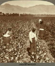 Umorismo -  Fun Effetti 3d Stéreoscopique Wiggle 