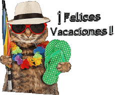 Messages Spanish Felices Vacaciones 30 