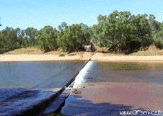 Humor -  Fun Transport Trucks Fun -  Win 