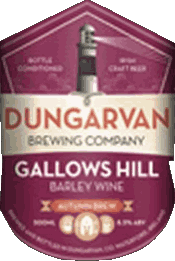 Bevande Birre Irlanda Dungarvan 