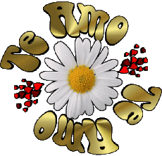 Messages Espagnol Te Amo 04 