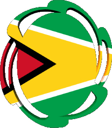 Drapeaux Amériques Guyana Forme 01 