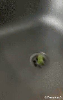 Humor -  Fun Tiere Maus 01 