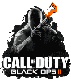 Multi Média Jeux Vidéo Call of Duty Black Ops 2 