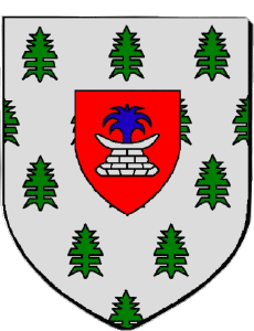 Drapeaux France Départements - Villes 974 CILAOS 