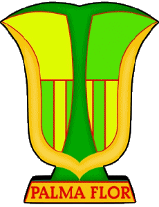 Sportivo Calcio Club America Logo Bolivia Club Atlético Palmaflor 