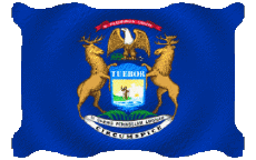 Bandiere America U.S.A - Stati Michigan Sventola 