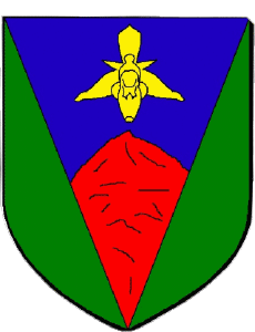 Flags France Departments - Cities 974 LE TAMPON 