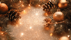 Messages German Fröhliche  Weihnachten Video 