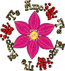 Messages Spanish Te Amo 01 