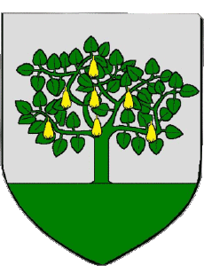 Bandiere Francia Dipartimenti - Città 11 FLEURY 