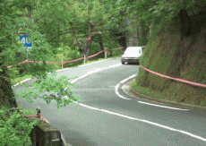 Humor - Fun Transporte Coches Accidente de rally fallido 