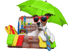 Messages Anglais Happy Holidays Fond Transparent 11 