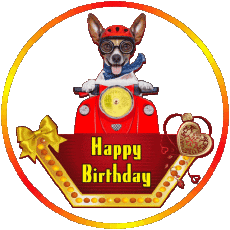 Nachrichten Englisch Happy Birthday Animals 010 