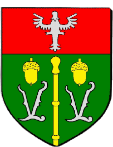 Banderas Francia Departamentos - Ciudades 54 VANDOEUVRE LES NANCY 