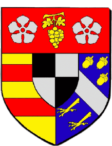 Bandiere Francia Dipartimenti - Città 93 LIVRY GARGAN 