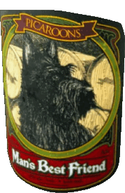 Bebidas Cervezas Canadá Picaroons 