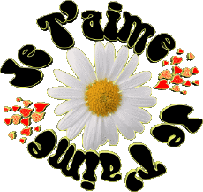 Messages Français Je T'aime 05 