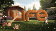 Multi Media Channels - TV France RMC Life Jingle 