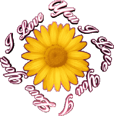 Nachrichten Englisch I Love You 02 