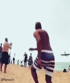 Humor -  Fun Transport Airplanes Civil 