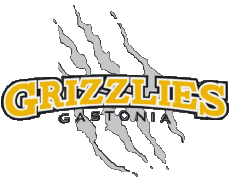 Sportivo Baseball U.S.A - CPL - Coastal Plain League Gastonia Grizzlies 
