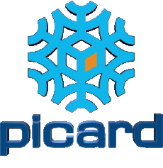 Cibo Congelato Picard 