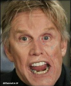 Gary Busey-Humor -  Fun Morphing - Look Like People - Vip People Series 02 