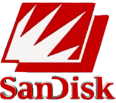 Multi Media Computer - Hardware Sandisk 