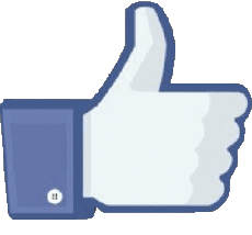 Multi Media Computer - Internet Facebook 