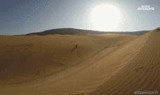 Humour - Fun Sports SnowBoard Sur le sable (Sandboarding) 