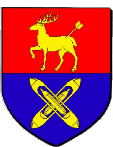 Banderas Francia Departamentos - Ciudades 38 VOIRON 