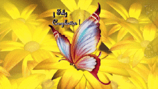 Messages Spanish Feliz Cumpleaños Mariposas Animated Background 001 