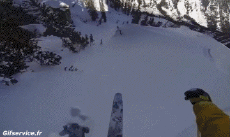 Humor -  Fun Sport Ski Free Ride Fun Win 