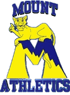 Sportivo N C A A - D1 (National Collegiate Athletic Association) M Mount St. Marys Mountaineers 