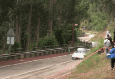 Humor - Fun Transporte Coches Accidente de rally fallido 