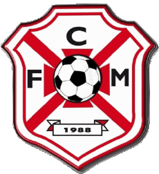 Sports Soccer Club France Centre-Val de Loire 45 - Loiret FC Magdunois 