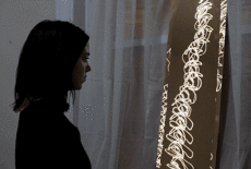 Humour - Fun GIF Artistes Lucea Spinelli 