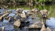 Humor - Fun GIF Artista @Eclectech 