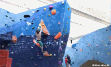 Humor -  Fun Sports Escalation Fun Win 