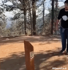 Humor -  Fun MENSCHEN Akrobatik Verschieden Fail 01 