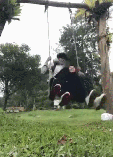 Humor -  Fun PEOPLE Swings Gamelles Fail 