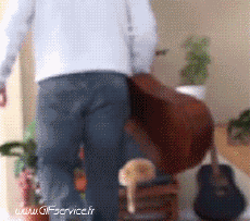 Humor -  Fun Animals Cats 03 