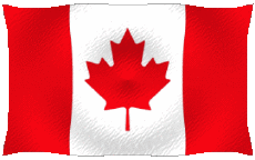 Flags America Canada Waving 