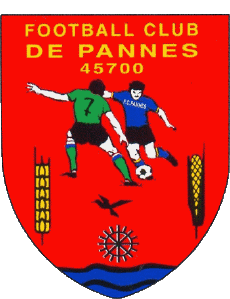 Sportivo Calcio  Club Francia Centre-Val de Loire 45 - Loiret FC Pannes 