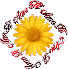 Messages Italian Ti Amo 02 