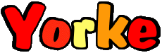 Vorname MANN - UK - USA - IRL - AUS - NZ Y Yorke 