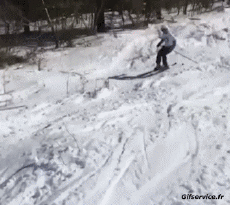 Humour - Fun Sports Ski Free Style Fail - Gamelles 